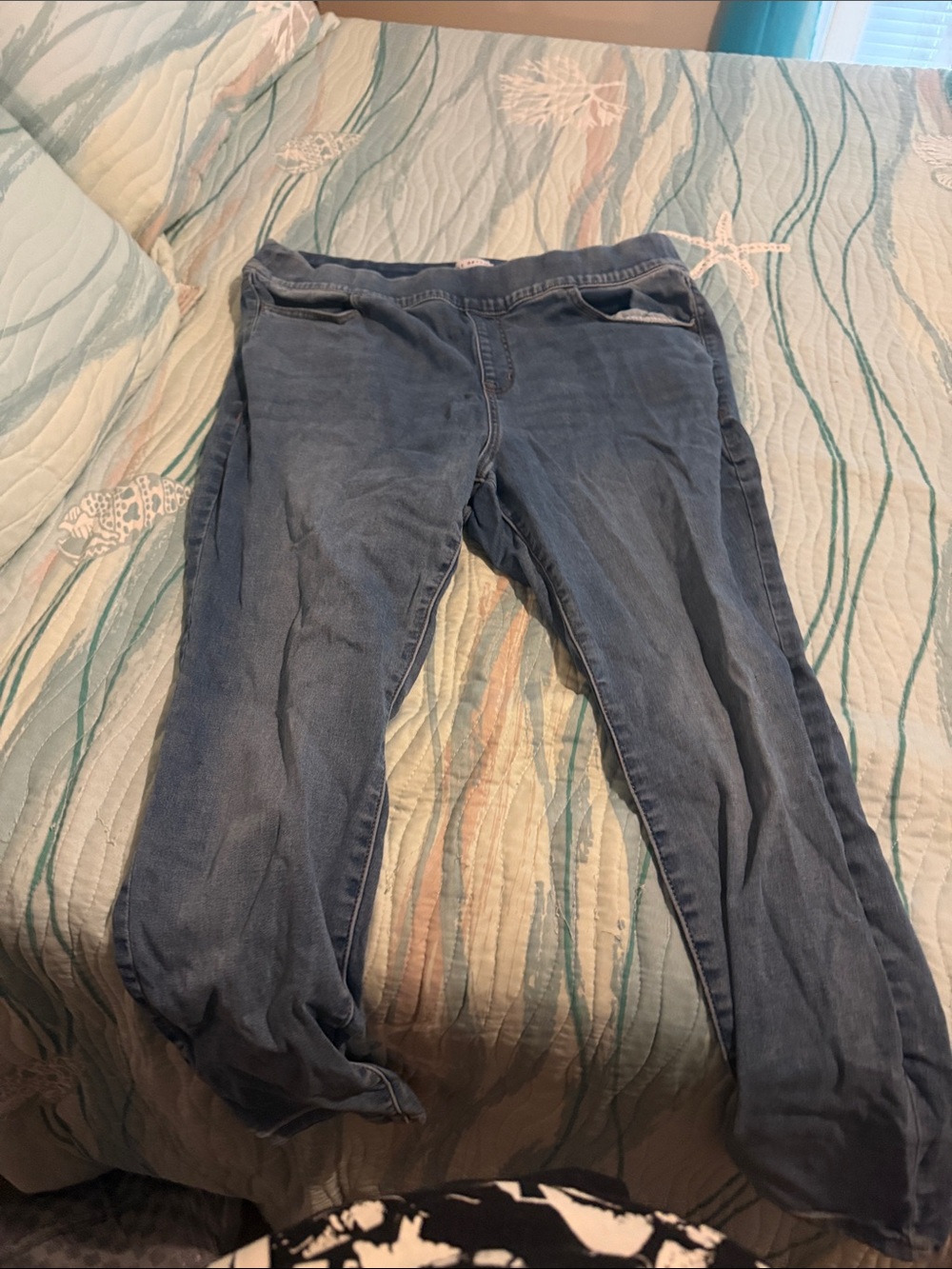 Lane Bryant Blue Stretch Jeggings